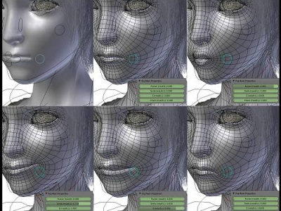 In the Blink of an Eye: The Science of Video Forensic Facial Recognition