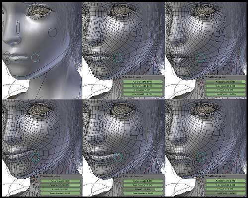 In the Blink of an Eye: The Science of Video Forensic Facial Recognition
