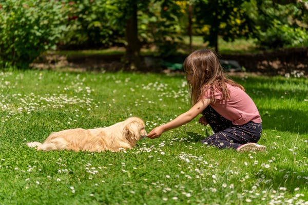 puppy nanny service