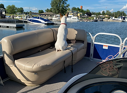 thousand island boat rentals